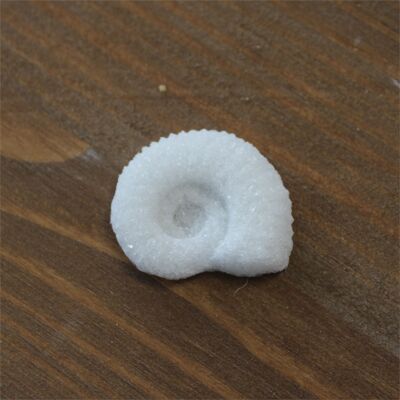 White Ammonite Sugar x300