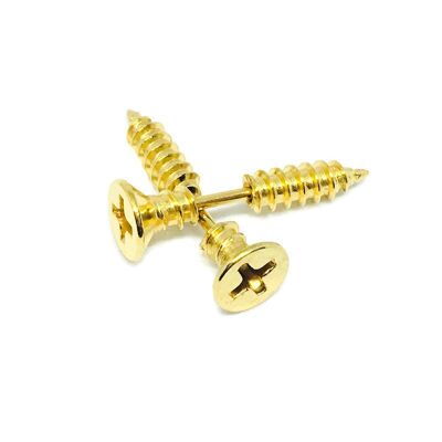 Screw Stainless Steel Earrings - Gold