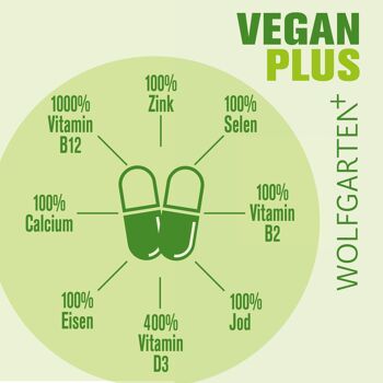 VEGAN PLUS AVEC POT DE CONSERVATION 4