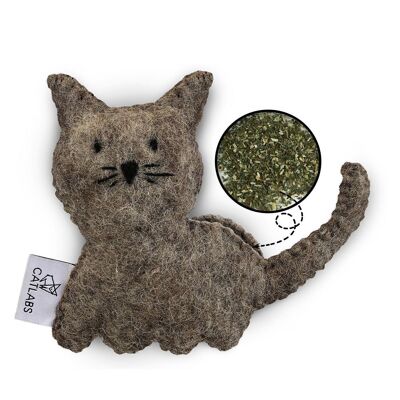 Chat câlin avec de l'herbe à chat