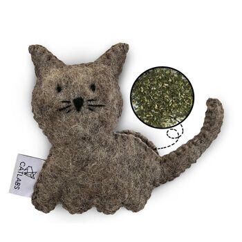 Chat câlin avec de l'herbe à chat 1