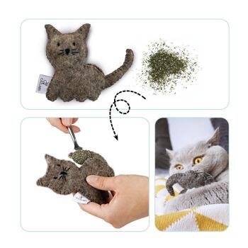 Chat câlin avec de l'herbe à chat 6