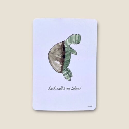 Postkarte Schildkröte "hoch sollst du leben!"