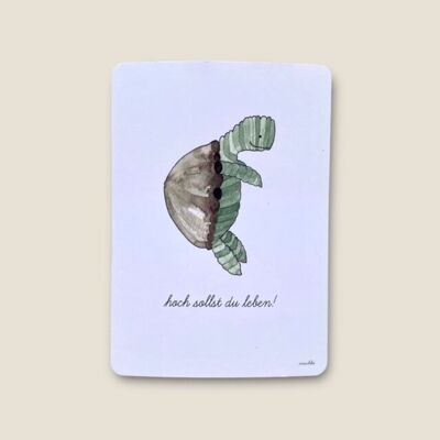 Carte postale tortue "Vive la vie !"  