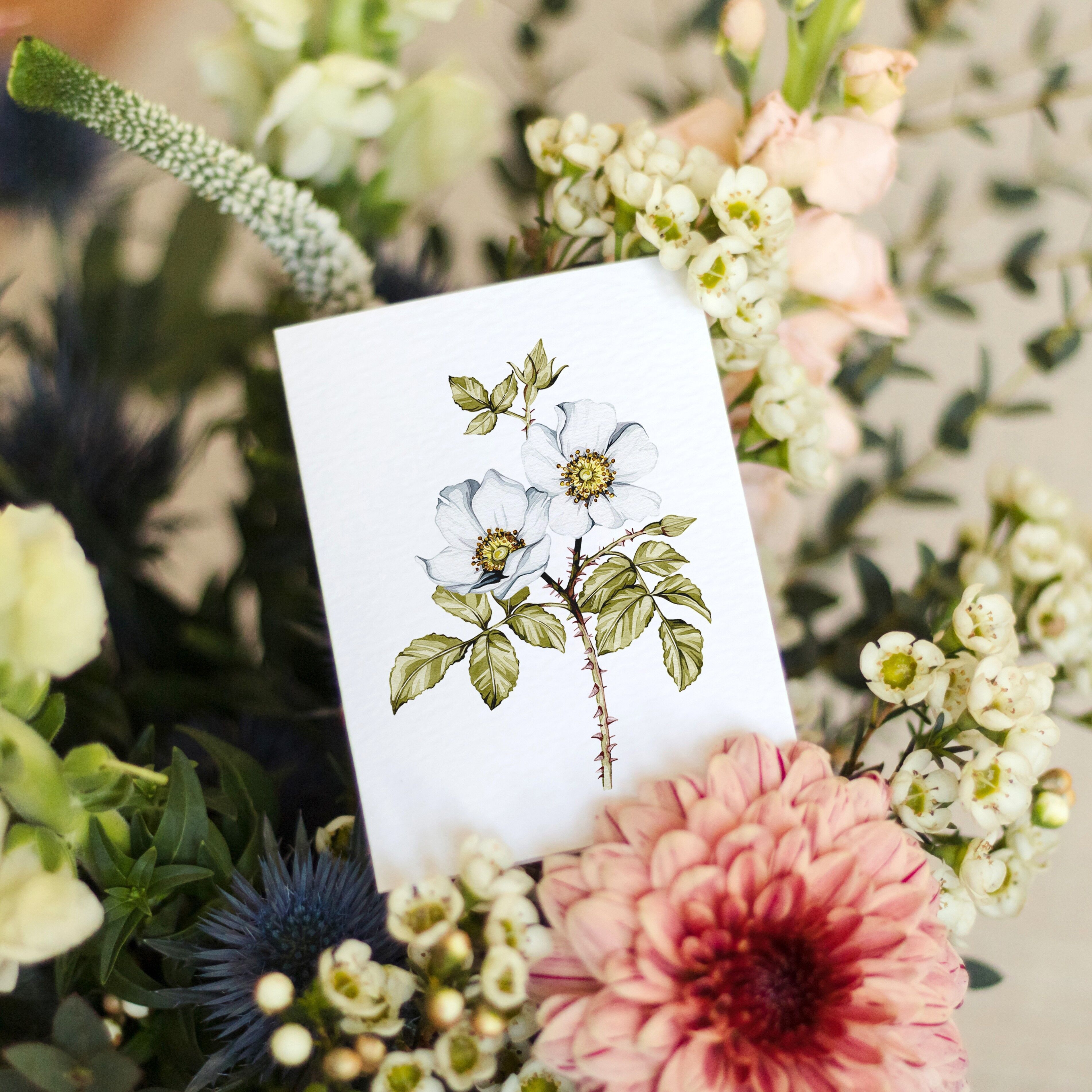 Mini Dog Rose acquerello sostenibile biglietto di auguri