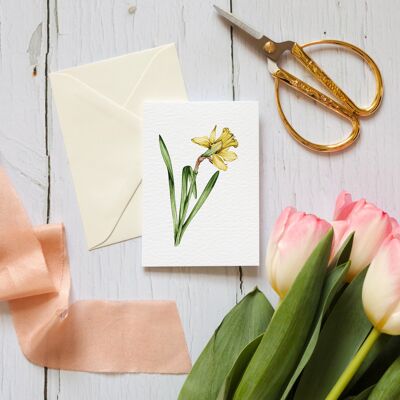 Cartolina d'auguri sostenibile Mini Daffodil acquerello