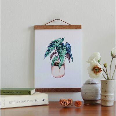 Acuarela Alocasia House Plant A4 Wall Art Print