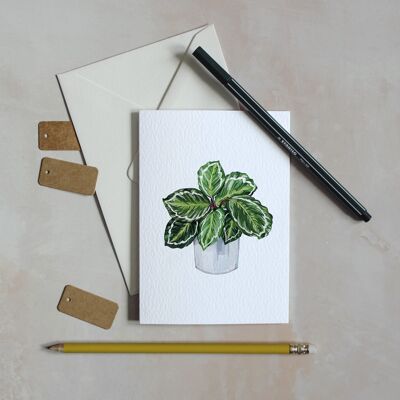 House Plant Watercolour Sustainable Greeting Card