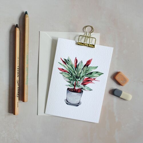 House Plant Watercolour Sustainable Greeting Card