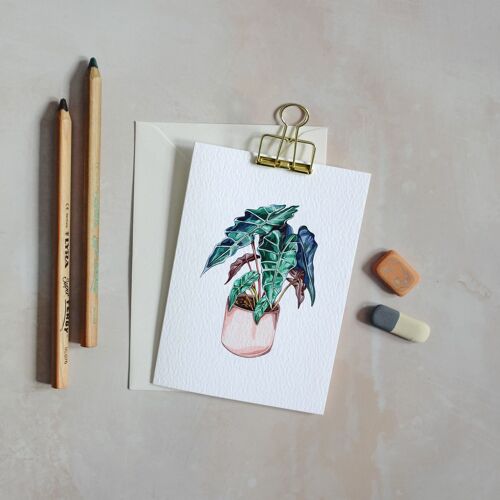 House Plant Watercolour Sustainable Greeting Card