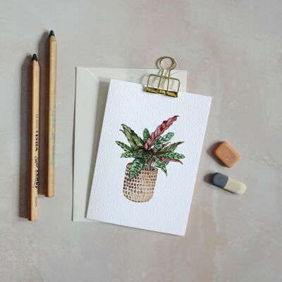House Plant Watercolour Sustainable Greeting Card