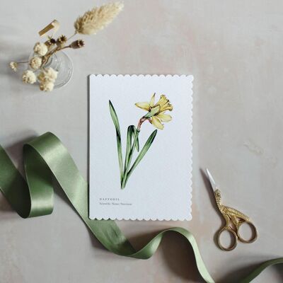 Jonquille Aquarelle Festonnée Durable Carte de vœux