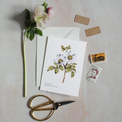 Cartolina d'auguri sostenibile smerlata dell'acquerello della rosa canina