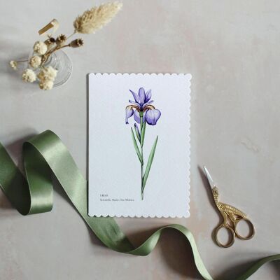 Iris aquarelle festonnée durable Carte de vœux
