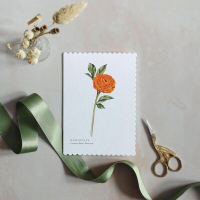 Cartolina d'auguri sostenibile smerlata dell'acquerello di Ranunculus
