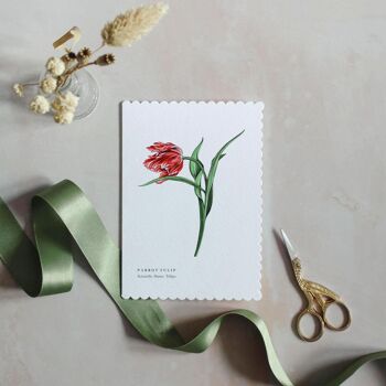 Tulipe aquarelle festonnée durable Carte de vœux 1