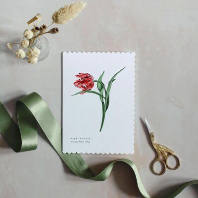 Cartolina d'auguri sostenibile smerlata dell'acquerello del tulipano