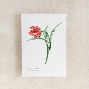 Tulipe aquarelle festonnée durable Carte de vœux 3