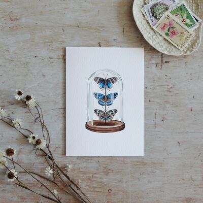 Schmetterlings-Glockenglas-Aquarell-nachhaltige Grußkarte