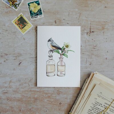 Botanical Bird Watercolour Sustainable Greeting Card