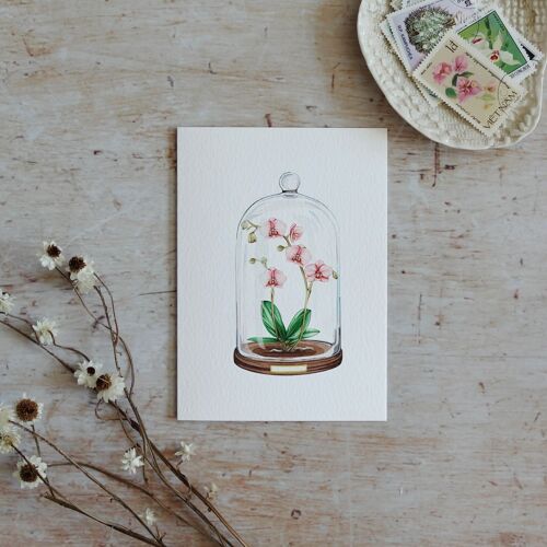 Orchid Floral Display Watercolour Sustainable Greetings Card