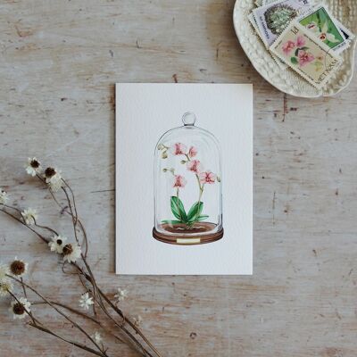 Cartolina d'auguri sostenibile dell'acquerello con display floreale dell'orchidea