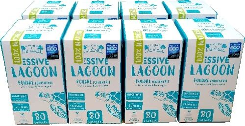 LESSIVE LAGOON 1,7kg