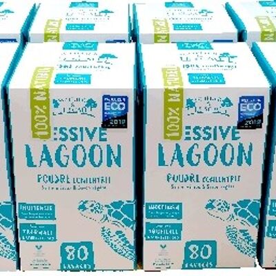 LESSIVE LAGOON 1,7kg