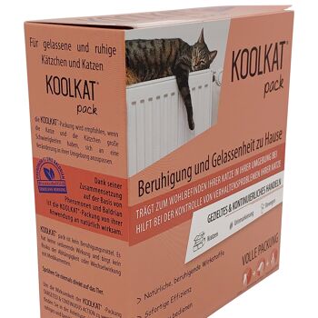 Pack KOOLKAT - Vaporisateur+Recharge+Spray 7