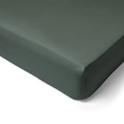 80 Thread Count Cotton Percale Fitted Sheet - 160x200 - 30cm Cap - emerald green