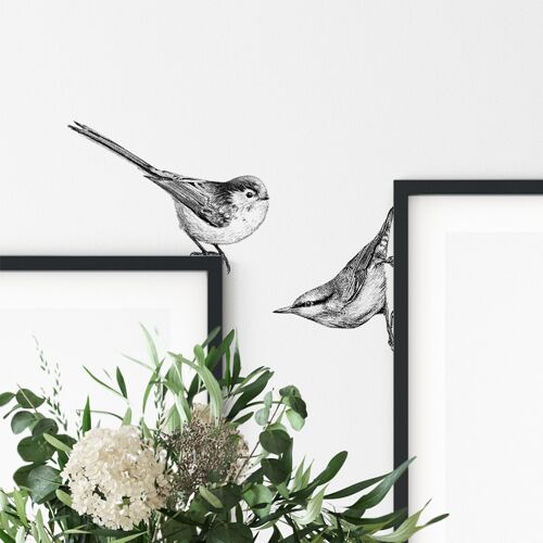 Nuthatch & long tailed tit wall sticker set - bird illustration - wall decals