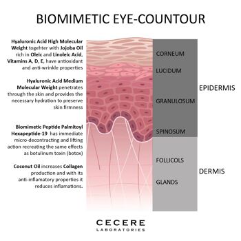 Contour des Yeux Biomimétique 2 Acides Hyaluroniques Vitamine E 4