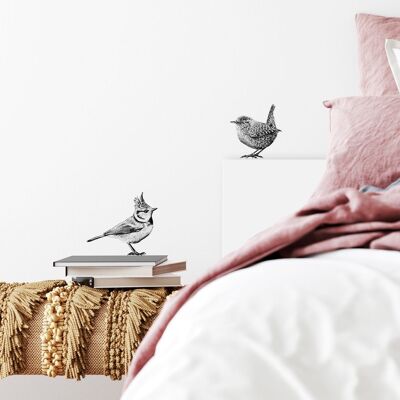 Crested tit & wren wall decal set - bird wall stickers - wall art