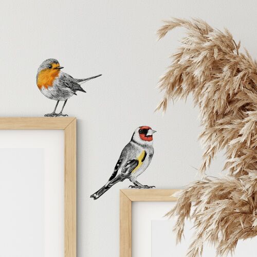 Goldfinch and red robin wall sticker set - bird illustration - wall decoration