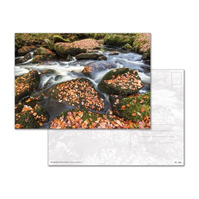 A5 Postkarte - La Rivière d'Argent, Huelgoat