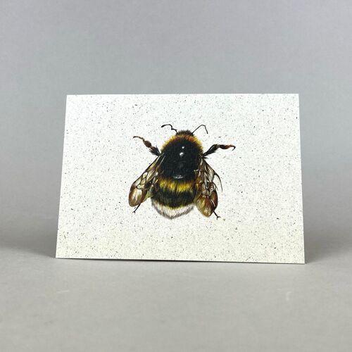 Postkarte Graspapier " Hummel "