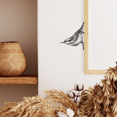 Nuthatch wall decal - bird illustration - wall decoration