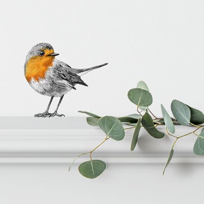 Red robin wall sticker - bird illustration - wall decoration