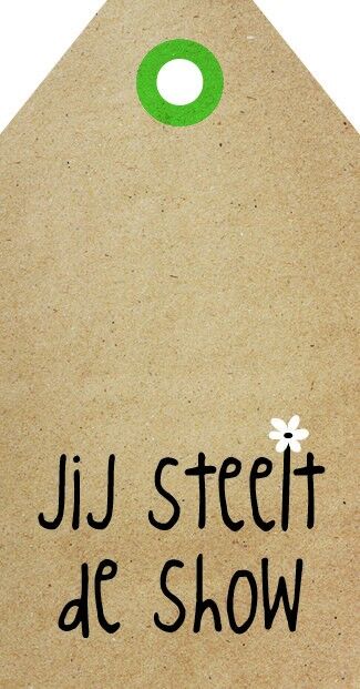 Te robas el show - Zingever