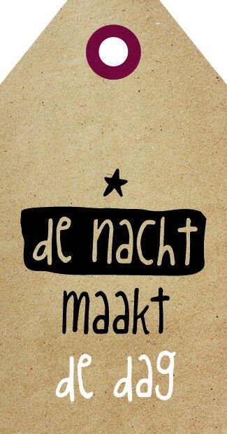 Die Nacht macht den Tag - Zingever