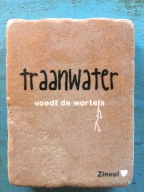 Steenmagneet - Traanwater voedt de wortels