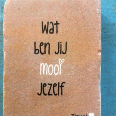 Steenmagneet - Wat ben jij mooi jezelf