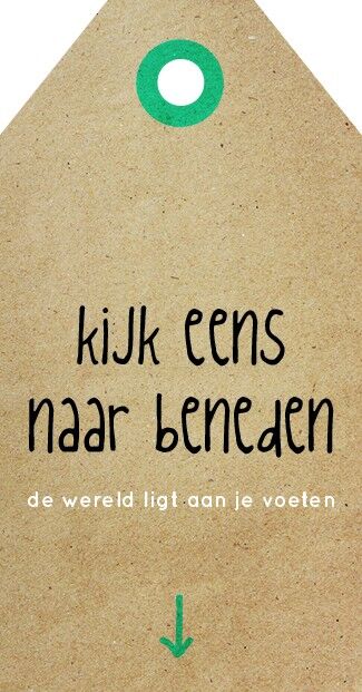 Schau nach unten - Zingever