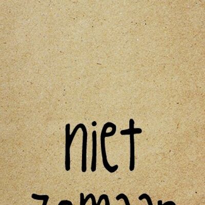 Niet Zomaar - Zingever