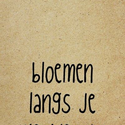 Bloemen langs je nieuwe pad - Zingever