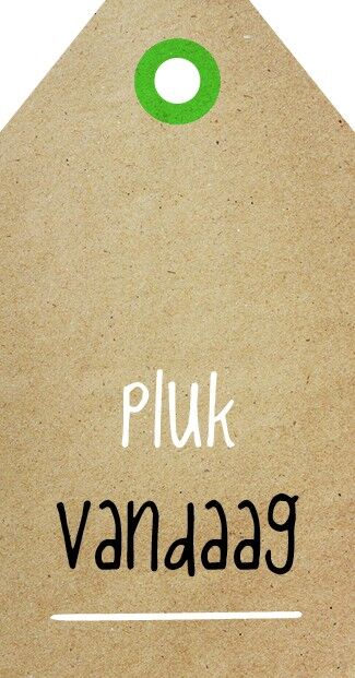 Pluk Vandaag - Zingever