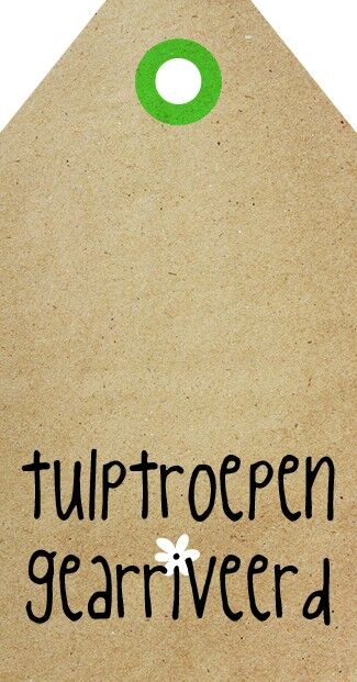 Arrivarono le truppe di tulipani - Zingever