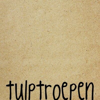 Tulptroepen gearriveerd - Zingever