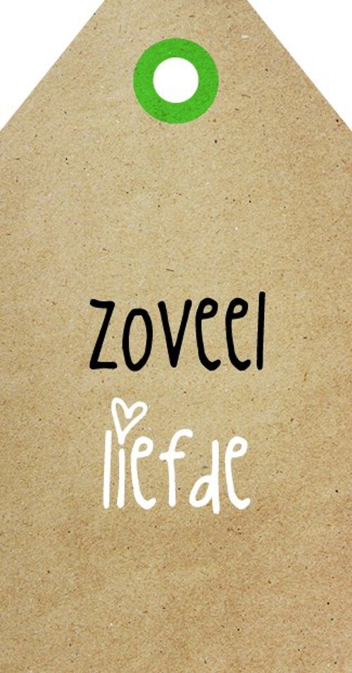 Zoveel liefde - Zingever