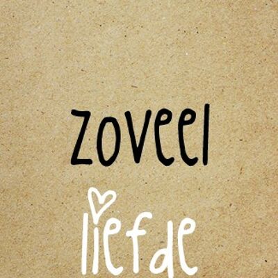 Zoveel liefde - Zingever